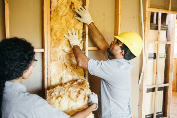 Best Wall Insulation Installation  in Nashua, NH